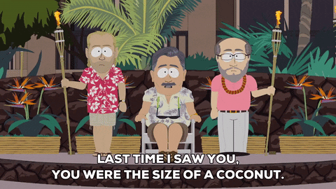 hawaii torches GIF by South Park 
