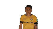 Bundesliga Celebrate Sticker by SG Dynamo Dresden