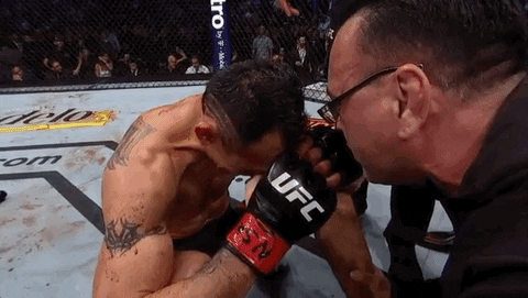 Ufc 229 Sport GIF by UFC