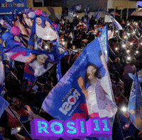 Rosi Vassouras GIF