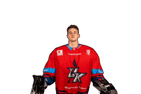 Ukkings Sticker by UK KINGS PRAGUE