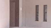 Japan GIF by GIPHY News
