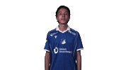 Tsg Hoffenheim Yes Sticker by Bundesliga
