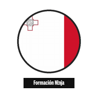 Flag Bandera Sticker by Formación Ninja