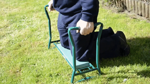 25THEBUCKETLIST giphyupload GIF