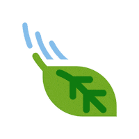 Leaf Naturaleza Sticker by Olé Oficial Mx