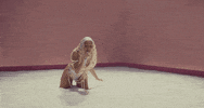 Streets GIF by Doja Cat