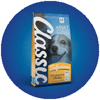 Dogs Pets Sticker by Montego Pet Nutrition