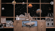 Lil Bub Hello GIF by Internet Cat Video Festival