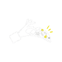 Bzh Sticker by pizza rhuys