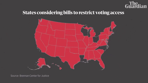 Voting Donald Trump GIF by guardian