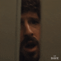 Fx Networks What GIF by DAVE