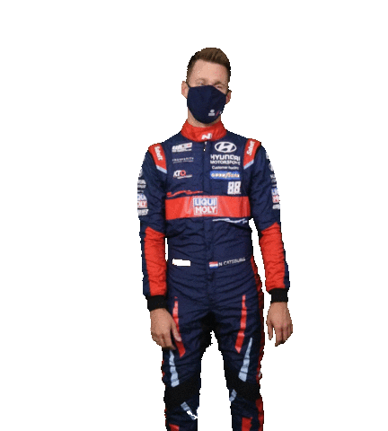 Motorsport Wtcr Sticker by FIA World Touring Car Cup