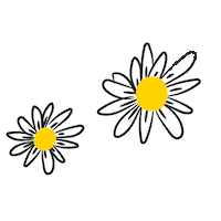 Shop Flores Sticker