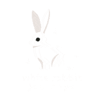 Alice In Wonderland Bunny Sticker