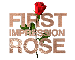 Rose Petals Love Sticker by The Bachelorette