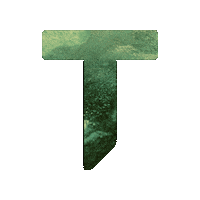 Wellness Supplements Sticker by Thorne Health