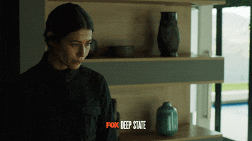 FoxTVEu fox talking discussion looking up GIF