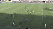 roma football soccer omg reactions GIF