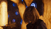 Sorry Jodie Whittaker GIF by Doctor Who