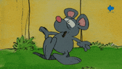 Cat Animation GIF by Mola TV Kids