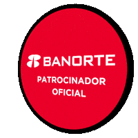 Here We Go Steelers Sticker by Banorte