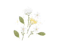 Good Morning Summer Sticker by artnis