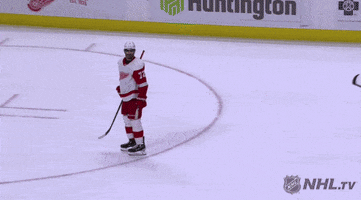 happy ice hockey GIF by NHL