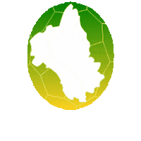 comitehandaveyron sport handball ballon hand ball Sticker