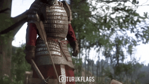 Turk Solider GIF