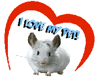 Guinea Pig Love Sticker