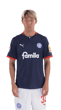 Link Verlinken Sticker by Holstein Kiel