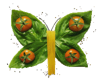 Dinner Butterfly Sticker by Max bahman - MAX164