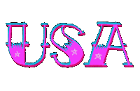 American Usa Sticker