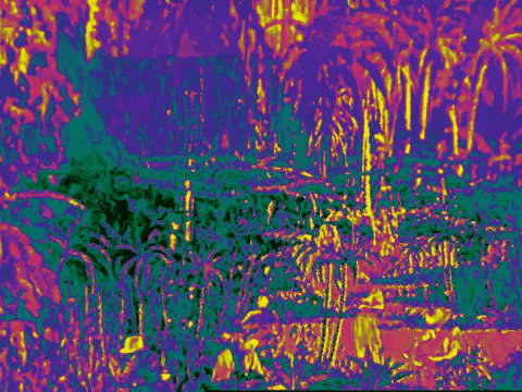 art colors GIF by MFD