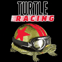 Racing Turtle GIF by LW Brands