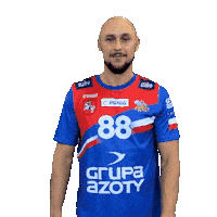 Handball Pgnigsuperliga Sticker by KS Azoty-Puławy S.A.