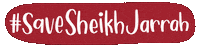 Palestine Sticker