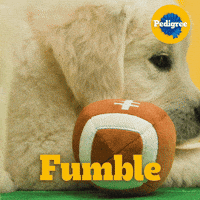 Dog Food GIF by PEDIGREE US