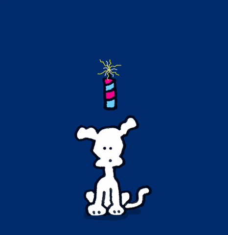 4Th Of July Love GIF by Chippy the Dog