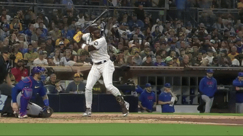 tesstass giphyupload GIF
