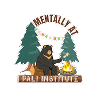 Summer Camp Pali Adventures Sticker by Pali Institute
