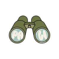 Summer Camp Education Sticker by Pali Institute