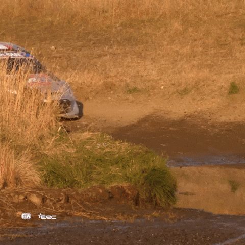 Wrc GIF by FIA World Rally Championship
