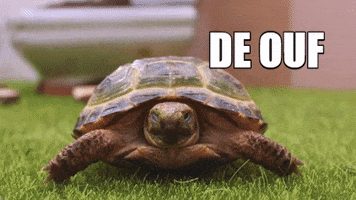 Ouf Souris GIF by CANAL+