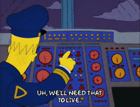 homer simpson GIF