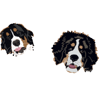 Bernese Mountain Dog Rome Sticker by Carlos Whittaker
