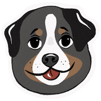 Bernese Mountain Dog Please Sticker by Edna Odetta