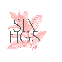 Money Honey Sticker by Six Figs