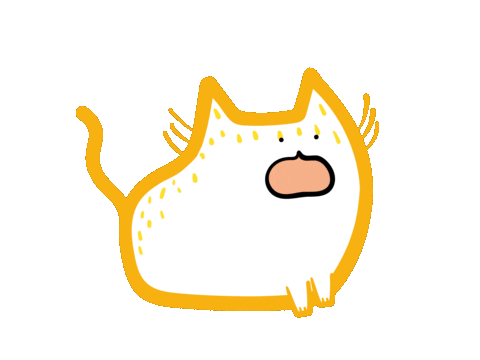 Cat Omg Sticker